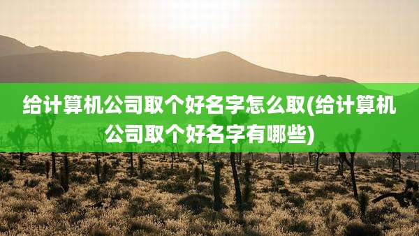 给计算机公司取个好名字怎么取(给计算机公司取个好名字有哪些)