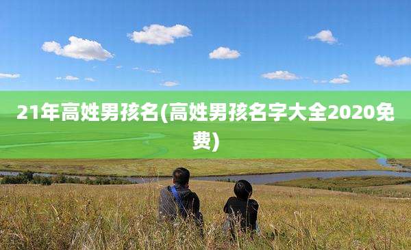 21年高姓男孩名(高姓男孩名字大全2020免费)