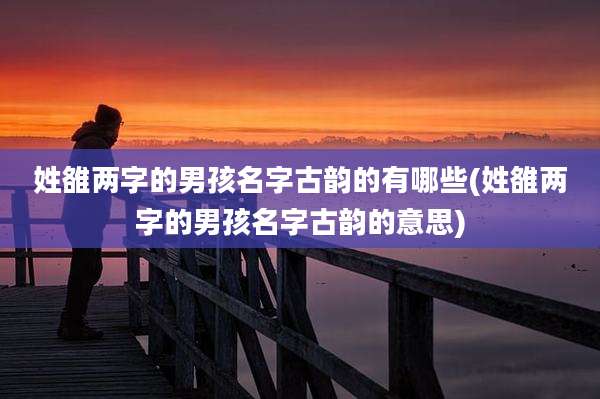 姓雒两字的男孩名字古韵的有哪些(姓雒两字的男孩名字古韵的意思)