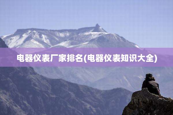 电器仪表厂家排名(电器仪表知识大全)