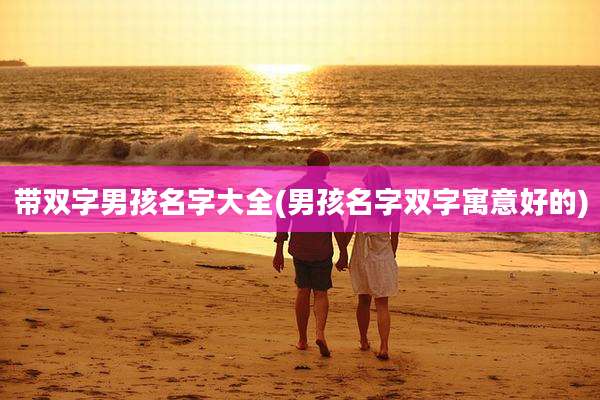 带双字男孩名字大全(男孩名字双字寓意好的)
