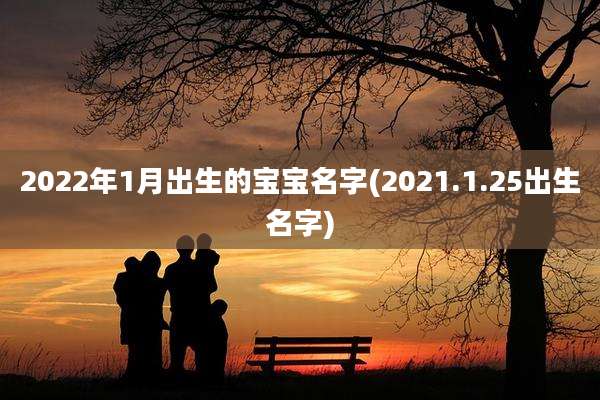 2022年1月出生的宝宝名字(2021.1.25出生名字)