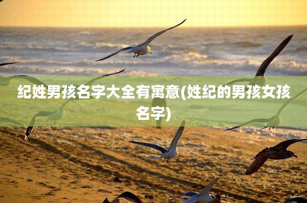 纪姓男孩名字大全有寓意(姓纪的男孩女孩名字)