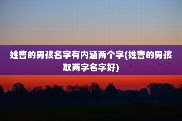 姓曹的男孩名字有内涵两个字(姓曹的男孩取两字名字好)