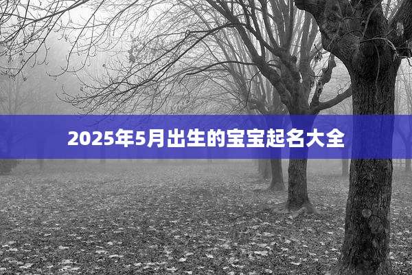 2025年5月出生的宝宝起名大全