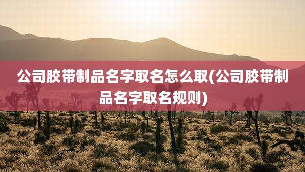 公司胶带制品名字取名怎么取(公司胶带制品名字取名规则)
