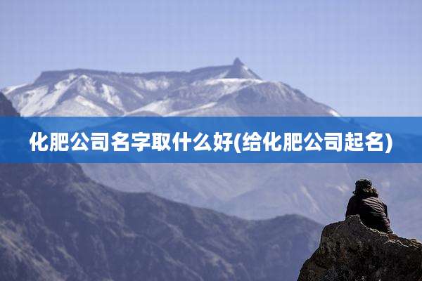 化肥公司名字取什么好(给化肥公司起名)