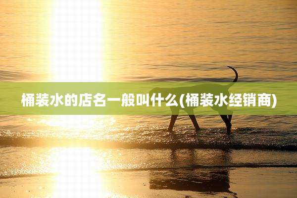 桶装水的店名一般叫什么(桶装水经销商)