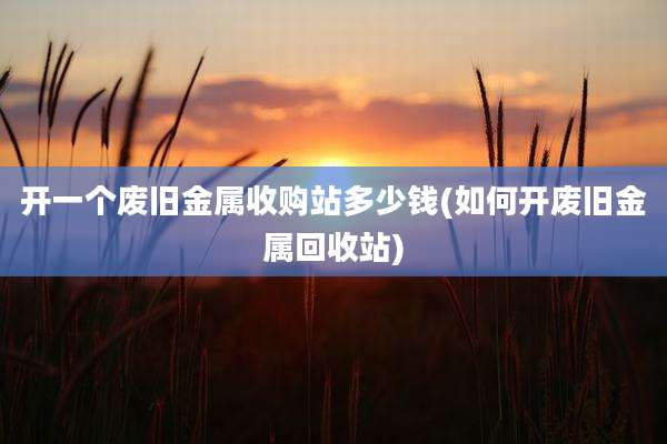 开一个废旧金属收购站多少钱(如何开废旧金属回收站)