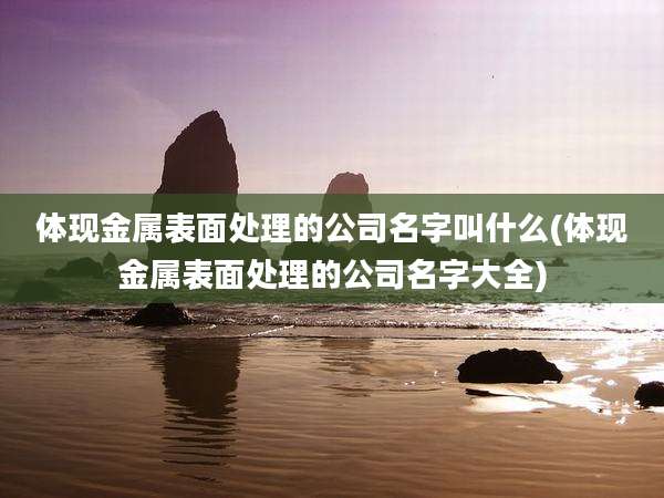 体现金属表面处理的公司名字叫什么(体现金属表面处理的公司名字大全)