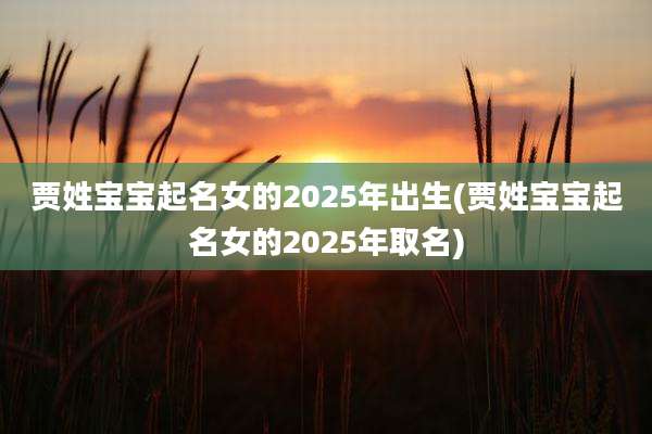 贾姓宝宝起名女的2025年出生(贾姓宝宝起名女的2025年取名)