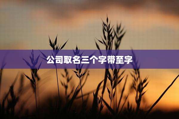公司取名三个字带至字