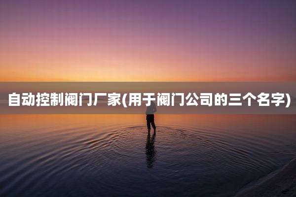 自动控制阀门厂家(用于阀门公司的三个名字)