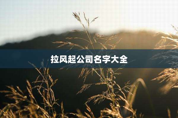 拉风起公司名字大全