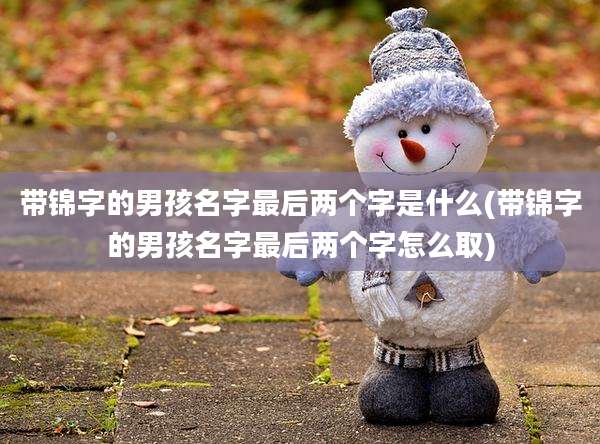 带锦字的男孩名字最后两个字是什么(带锦字的男孩名字最后两个字怎么取)