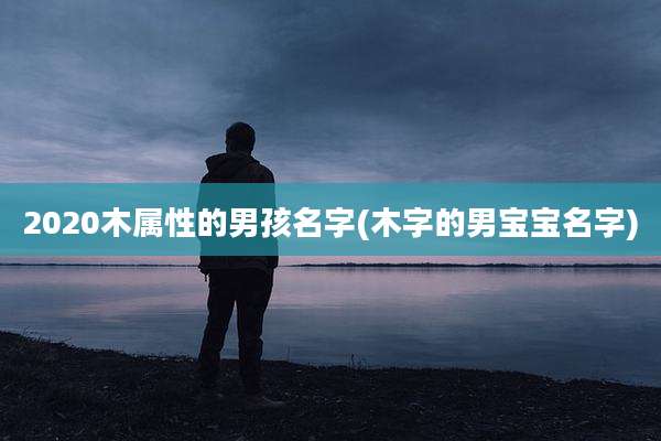 2020木属性的男孩名字(木字的男宝宝名字)