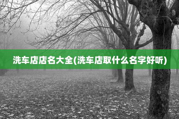 洗车店店名大全(洗车店取什么名字好听)