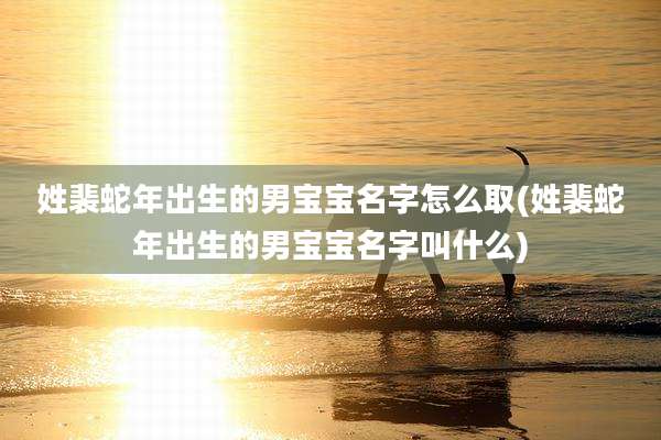 姓裴蛇年出生的男宝宝名字怎么取(姓裴蛇年出生的男宝宝名字叫什么)