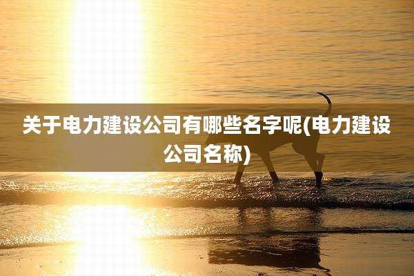 关于电力建设公司有哪些名字呢(电力建设公司名称)