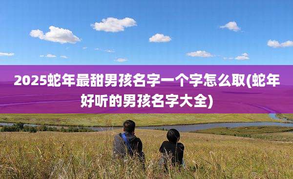 2025蛇年最甜男孩名字一个字怎么取(蛇年好听的男孩名字大全)