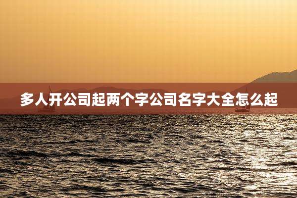 多人开公司起两个字公司名字大全怎么起