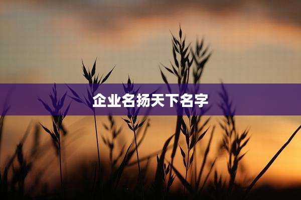 企业名扬天下名字