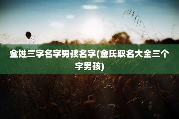 金姓三字名字男孩名字(金氏取名大全三个字男孩)