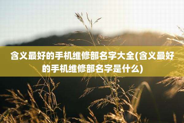 含义最好的手机维修部名字大全(含义最好的手机维修部名字是什么)