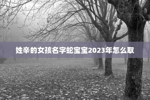 姓辛的女孩名字蛇宝宝2023年怎么取