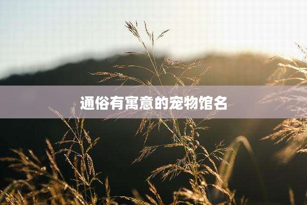 通俗有寓意的宠物馆名
