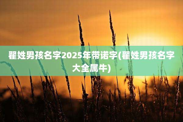 翟姓男孩名字2025年带诺字(翟姓男孩名字大全属牛)