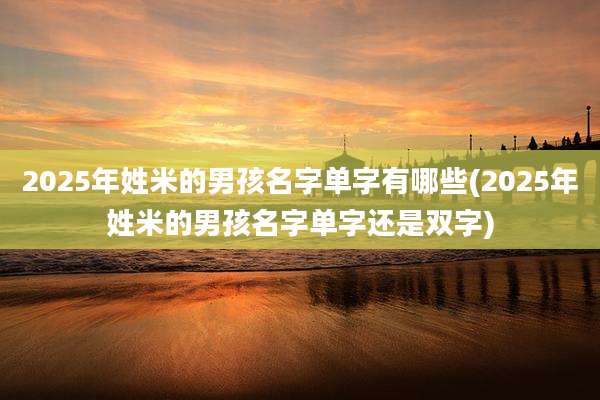2025年姓米的男孩名字单字有哪些(2025年姓米的男孩名字单字还是双字)
