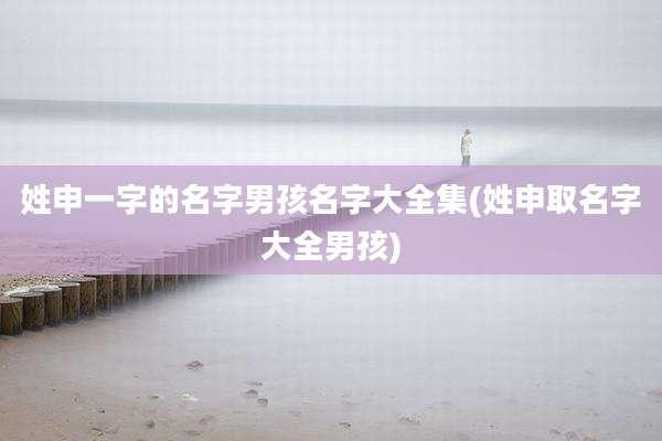 姓申一字的名字男孩名字大全集(姓申取名字大全男孩)