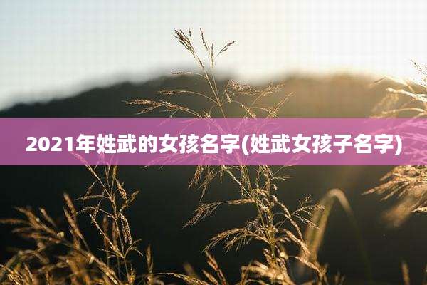 2021年姓武的女孩名字(姓武女孩子名字)