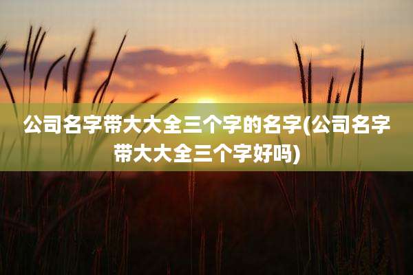 公司名字带大大全三个字的名字(公司名字带大大全三个字好吗)