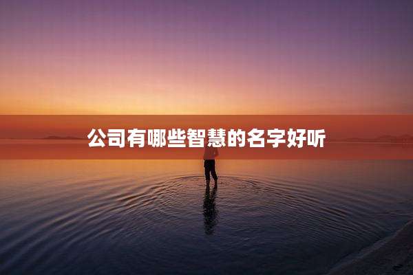 公司有哪些智慧的名字好听