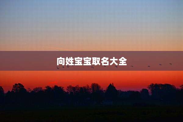 向姓宝宝取名大全