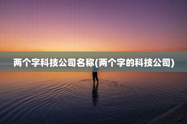 两个字科技公司名称(两个字的科技公司)