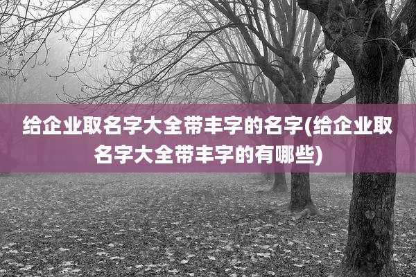 给企业取名字大全带丰字的名字(给企业取名字大全带丰字的有哪些)