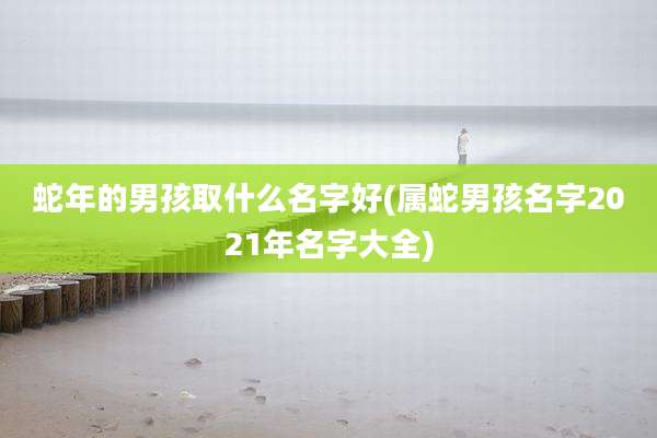 蛇年的男孩取什么名字好(属蛇男孩名字2021年名字大全)