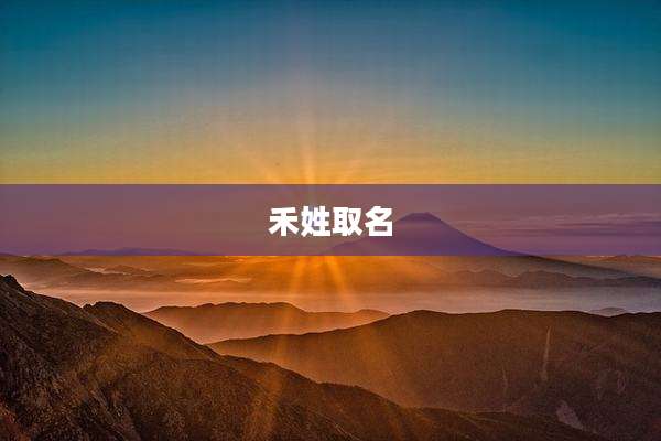 禾姓取名