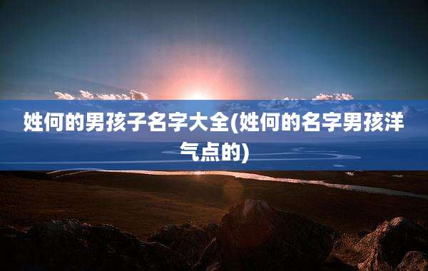 姓何的男孩子名字大全(姓何的名字男孩洋气点的)