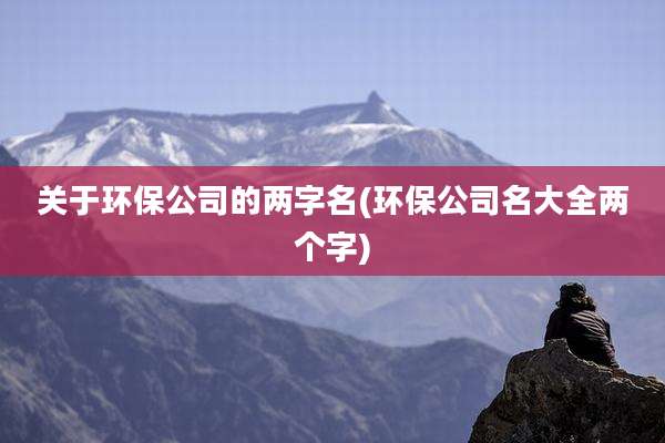 关于环保公司的两字名(环保公司名大全两个字)