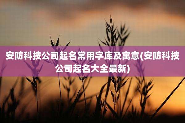 安防科技公司起名常用字库及寓意(安防科技公司起名大全最新)
