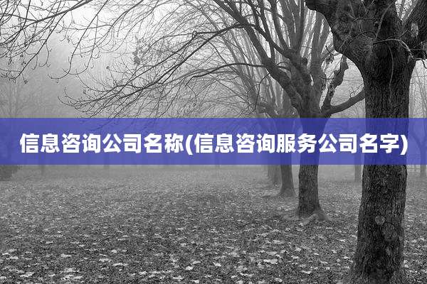 信息咨询公司名称(信息咨询服务公司名字)