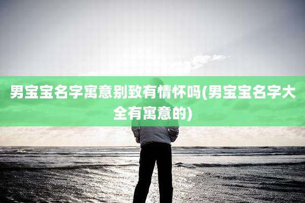 男宝宝名字寓意别致有情怀吗(男宝宝名字大全有寓意的)