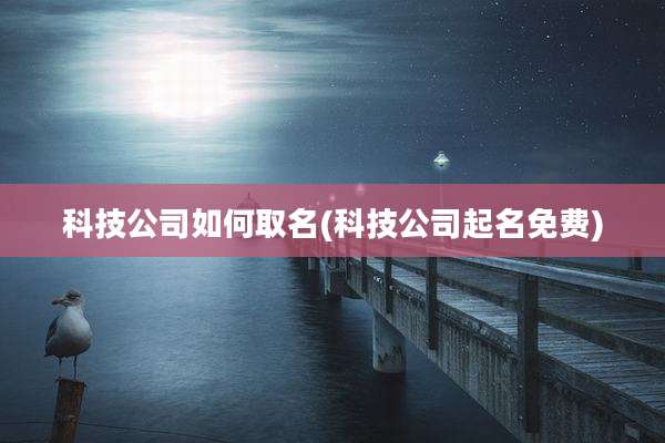 科技公司如何取名(科技公司起名免费)