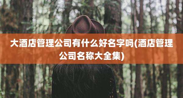 大酒店管理公司有什么好名字吗(酒店管理公司名称大全集)