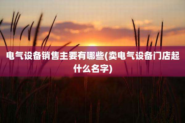 电气设备销售主要有哪些(卖电气设备门店起什么名字)