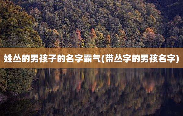 姓丛的男孩子的名字霸气(带丛字的男孩名字)